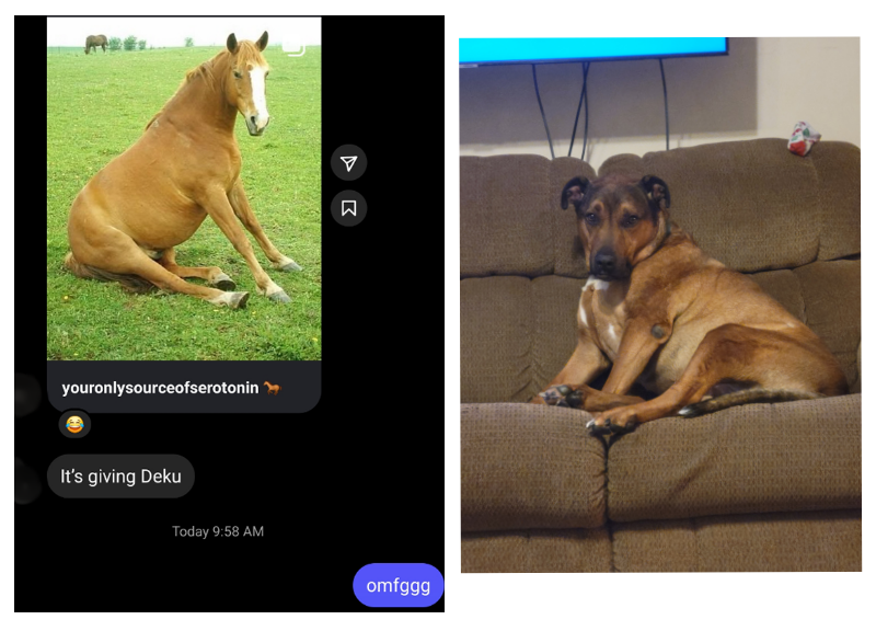 side by side images. 1st image is text chain where one person sends another a picture of a dog with a horses head and said "it's giving deku". 2nd image is a picture of said dog, deku